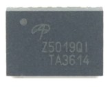 5019