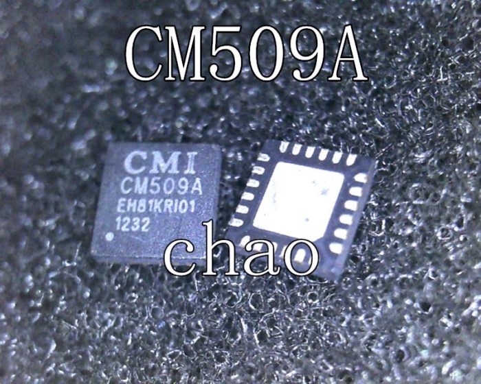 509